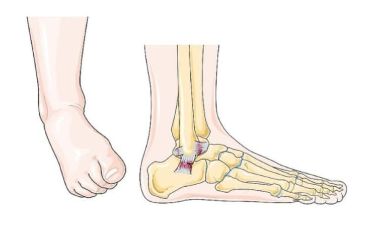 4d100ef8082b9b6db7677508529d2c8c